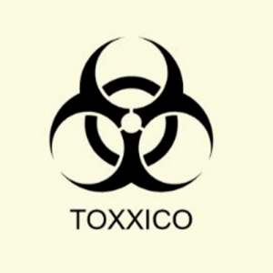 CALZADO TOXXICO